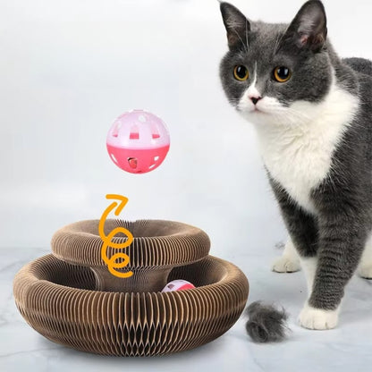 CatWhizz - Il Gioco che Fa Impazzire i Gatti